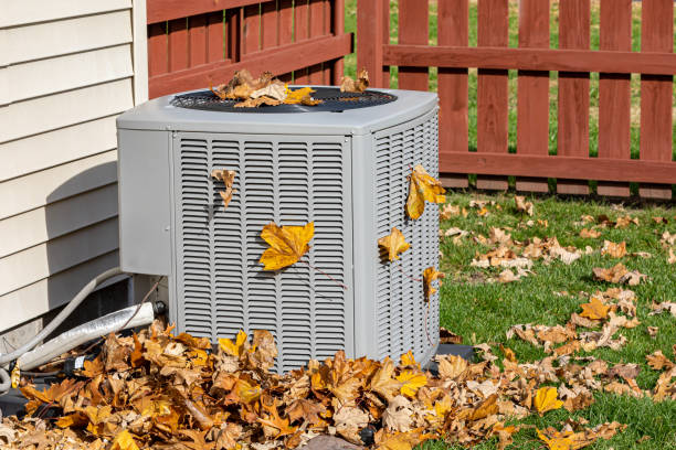 Best HVAC Air Duct Cleaning  in Bay Hill, FL