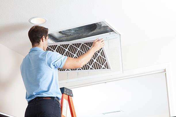 Best Ductless HVAC Repair  in Bay Hill, FL